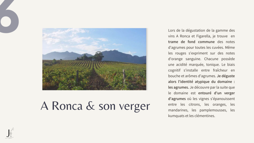 Exemple signature d'un vin par la dégustation des cuvées de vin du domaine A Ronca par Julie BERTOLOTTI